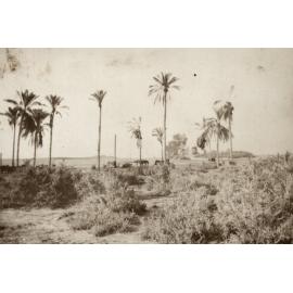 Photo from page 36 of album WWI Photograph Album - Nurses and Medical Services in Egypt, Gallipoli and Britain.