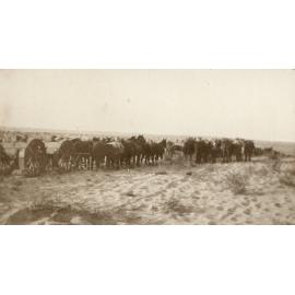 Photo from page 36 of album WWI Photograph Album - Nurses and Medical Services in Egypt, Gallipoli and Britain.