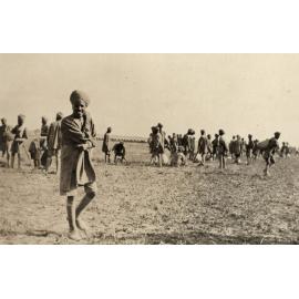 Photo from page 50 of album WWI Photograph Album - Nurses and Medical Services in Egypt, Gallipoli and Britain.