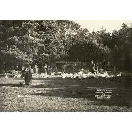 Photo from page 32 of album WWI Photograph Album- New Zealand General Hospitals, Britain.