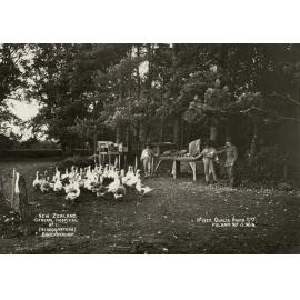 Photo from page 32 of album WWI Photograph Album- New Zealand General Hospitals, Britain.