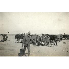 Photo from page 11 of album WWI Photograph Album- Egypt and Gallipoli.