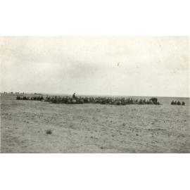 Photo from page 12 of album WWI Photograph Album- Egypt and Gallipoli.