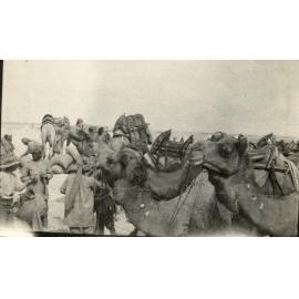 Photo from page 16 of album WWI Photograph Album- Egypt and Gallipoli.