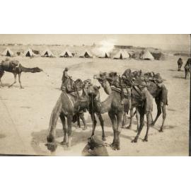 Photo from page 16 of album WWI Photograph Album- Egypt and Gallipoli.