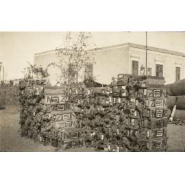 Photo from page 16 of album WWI Photograph Album- Egypt and Gallipoli.