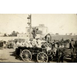 Photo from page 16 of album WWI Photograph Album- Egypt and Gallipoli.