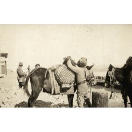 Photo from page 16 of album WWI Photograph Album- Egypt and Gallipoli.