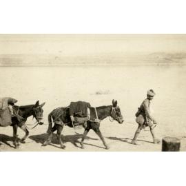 Photo from page 17 of album WWI Photograph Album- Egypt and Gallipoli.