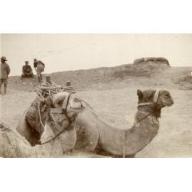 Photo from page 18 of album WWI Photograph Album- Egypt and Gallipoli.