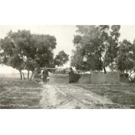Photo from page 19 of album WWI Photograph Album- Egypt and Gallipoli.