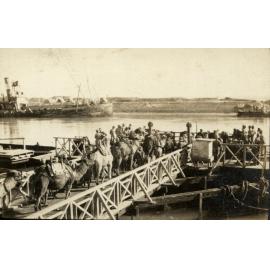 Photo from page 19 of album WWI Photograph Album- Egypt and Gallipoli.