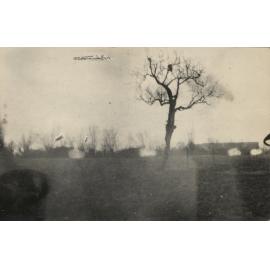 Photo from page 06 of album WW1 Photograph album of Charles Louis Armitage