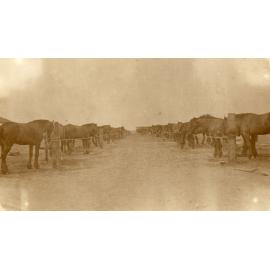 Photo from page 24 of album WWI Photograph Album- England, Egypt, Gallipoli and Western Front.