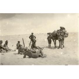 Photo from page 29 of album WWI Photograph Album- England, Egypt, Gallipoli and Western Front.
