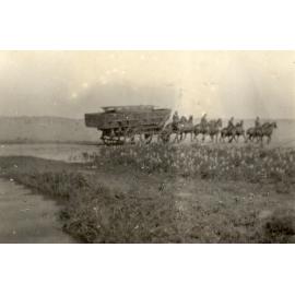 Photo from page 30 of album WWI Photograph Album- England, Egypt, Gallipoli and Western Front.