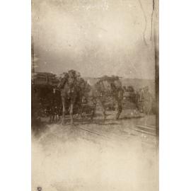 Photo from page 30 of album WWI Photograph Album- England, Egypt, Gallipoli and Western Front.
