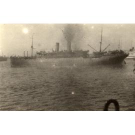 Photo from page 41 of album WWI Photograph Album- England, Egypt, Gallipoli and Western Front.