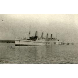 Photo from page 51 of album WWI Photograph Album- England, Egypt, Gallipoli and Western Front.