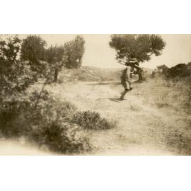 Photo from page 52 of album WWI Photograph Album- England, Egypt, Gallipoli and Western Front.