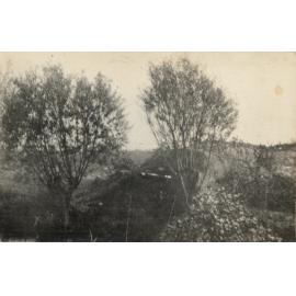 Photo from page 11 of album WW1 Photograph album of Charles Louis Armitage