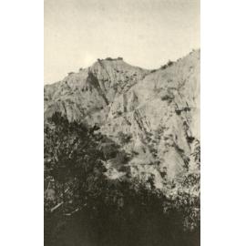 Photo from page 53 of album WWI Photograph Album- England, Egypt, Gallipoli and Western Front.