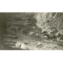Photo from page 53 of album WWI Photograph Album- England, Egypt, Gallipoli and Western Front.