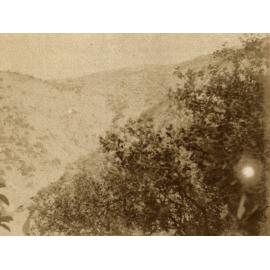 Photo from page 55 of album WWI Photograph Album- England, Egypt, Gallipoli and Western Front.