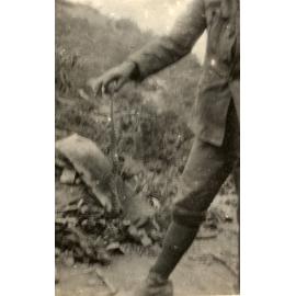 Photo from page 55 of album WWI Photograph Album- England, Egypt, Gallipoli and Western Front.