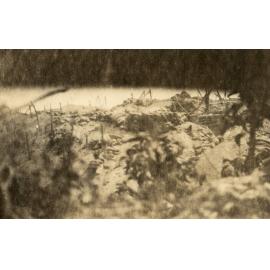 Photo from page 55 of album WWI Photograph Album- England, Egypt, Gallipoli and Western Front.