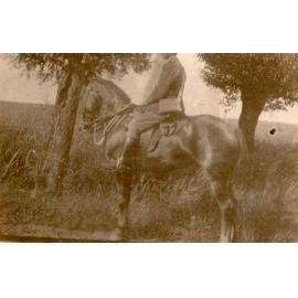 Photo from page 68 of album WWI Photograph Album- England, Egypt, Gallipoli and Western Front.
