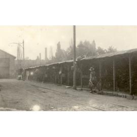 Photo from page 72 of album WWI Photograph Album- England, Egypt, Gallipoli and Western Front.