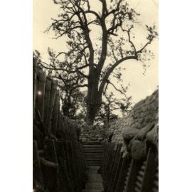 Photo from page 73 of album WWI Photograph Album- England, Egypt, Gallipoli and Western Front.