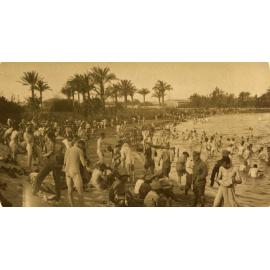 Photo from page 76 of album WWI Photograph Album- England, Egypt, Gallipoli and Western Front.