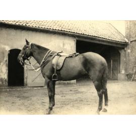 Photo from page 77 of album WWI Photograph Album- England, Egypt, Gallipoli and Western Front.