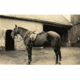 Photo from page 77 of album WWI Photograph Album- England, Egypt, Gallipoli and Western Front.