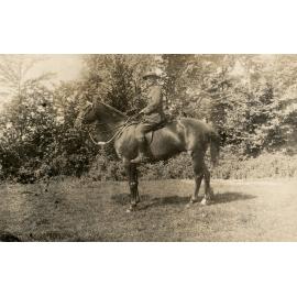 Photo from page 78 of album WWI Photograph Album- England, Egypt, Gallipoli and Western Front.