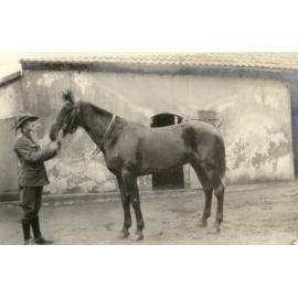 Photo from page 80 of album WWI Photograph Album- England, Egypt, Gallipoli and Western Front.