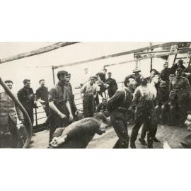 Photo from page 91 of album WWI Photograph Album- England, Egypt, Gallipoli and Western Front.