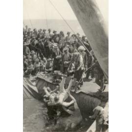 Photo from page 95 of album WWI Photograph Album- England, Egypt, Gallipoli and Western Front.