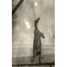 Photo from page 95 of album WWI Photograph Album- England, Egypt, Gallipoli and Western Front.