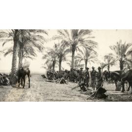 Photo from page 03 of album WWI Photograph Album- Egypt, Gallipoli and England.