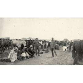 Photo from page 07 of album WWI Photograph Album- Egypt, Gallipoli and England.