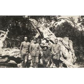 Photo from page 14 of album WWI Photograph Album- Egypt, Gallipoli and Western Front