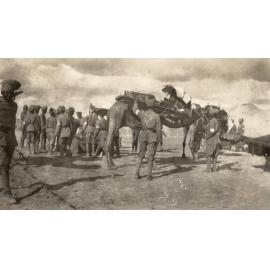 Photo from page 17 of album WWI Photograph Album- Egypt, Gallipoli and Western Front