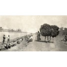 Photo from page 17 of album WWI Photograph Album- Egypt, Gallipoli and Western Front