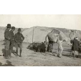 Photo from page 17 of album WWI Photograph Album- Egypt, Gallipoli and Western Front
