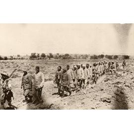 Photo from page 24 of album WWI Photograph Album- Egypt, Gallipoli and Western Front