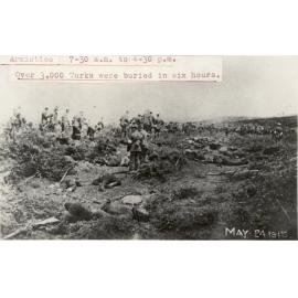 Photo from page 24 of album WWI Photograph Album- Egypt, Gallipoli and Western Front
