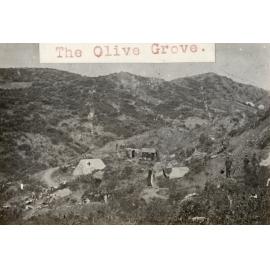 Photo from page 26 of album WWI Photograph Album- Egypt, Gallipoli and Western Front